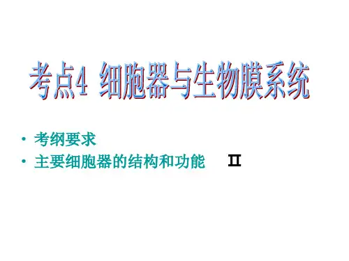 细胞器与生物膜系统