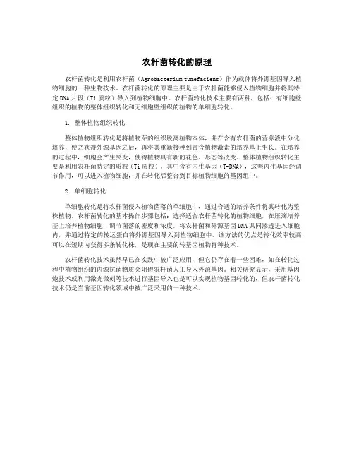 农杆菌转化的原理