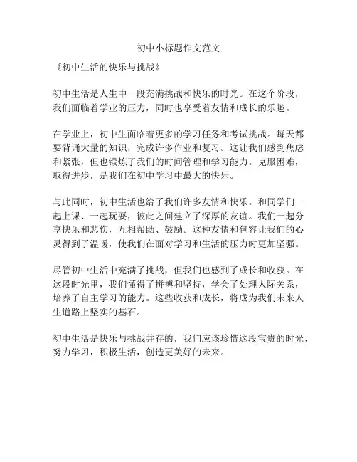 初中小标题作文范文