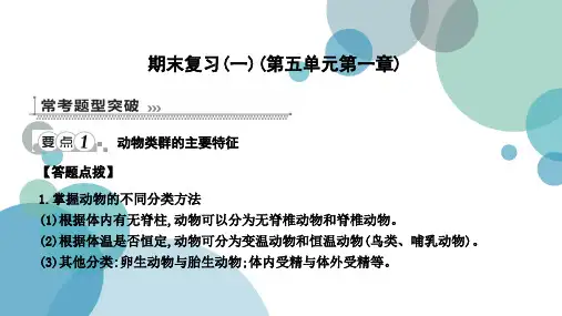 2019年人教版八年级上册生物全册课件