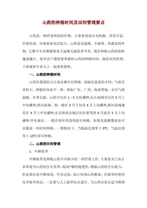 山药的种植时间及田间管理要点
