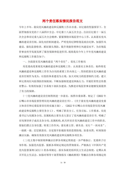 两个责任落实情况报告范文