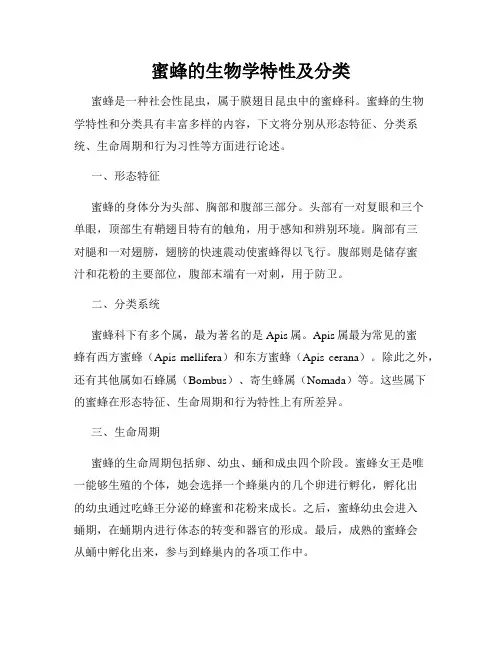 蜜蜂的生物学特性及分类