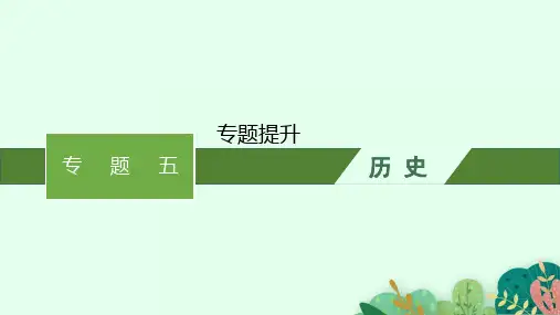 高考历史一轮总复习精品课件 专题五 专题提升