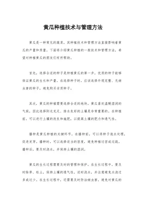 黄瓜种植技术与管理方法