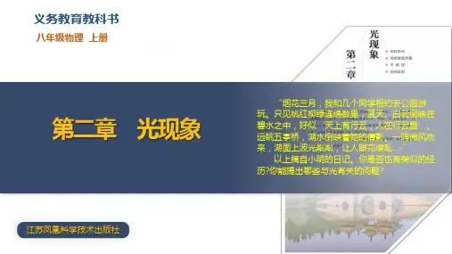 第二章 光现象(单元复习课件)八年级物理上册(苏科版2024)