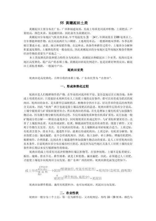 55黄潮泥田土类