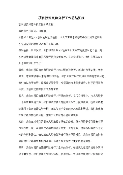 项目投资风险分析工作总结汇报