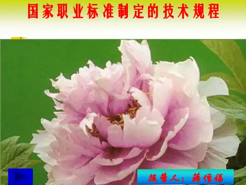 各工种国家职业标准