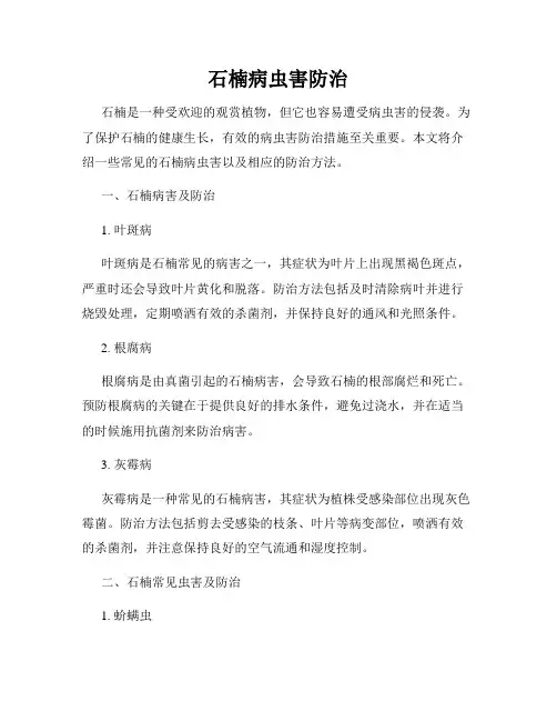 石楠病虫害防治