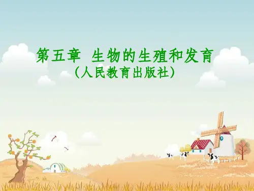 生物的生殖和发育ppt课件