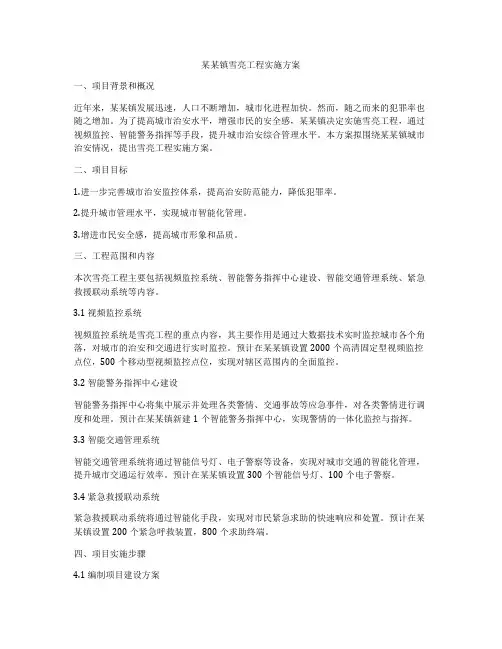 某某镇雪亮工程实施方案