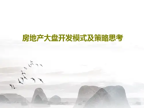 房地产大盘开发模式及策略思考33页文档
