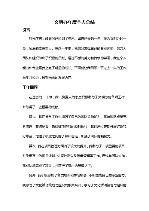 文明办年度个人总结