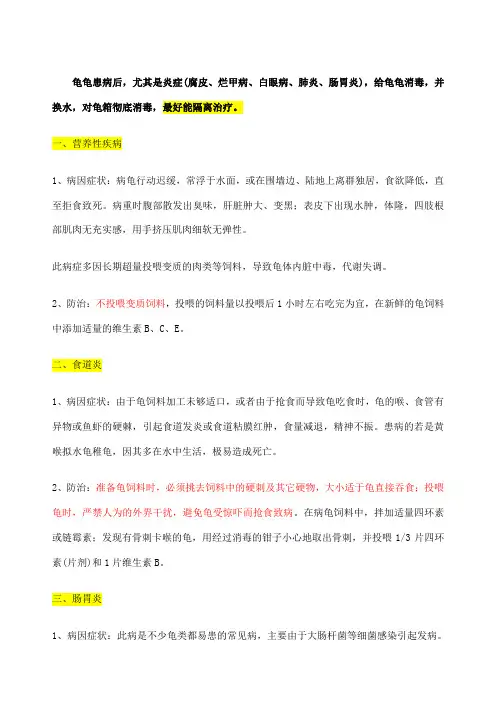 草龟常见病防治自己多年的饲养经验总结