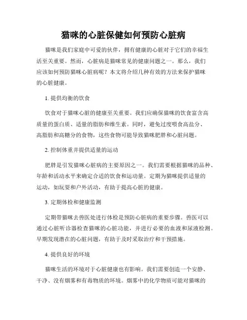 猫咪的心脏保健如何预防心脏病