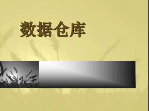 数据仓库 概述