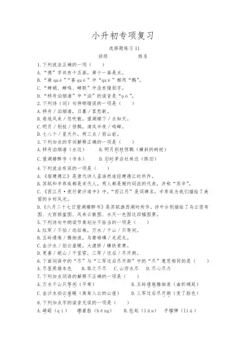 小升初专项复习选择题练习(试题)六年级下册语文部编版
