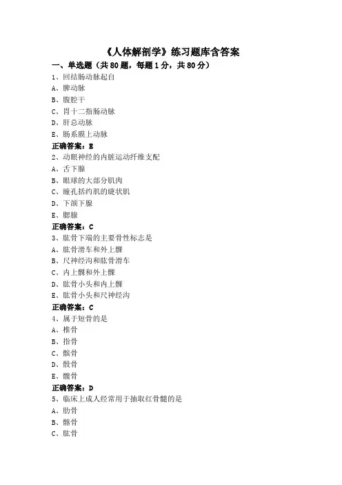 《人体解剖学》练习题库含答案