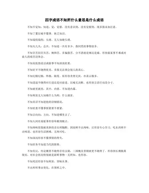 四字成语不知所什么意思是什么成语