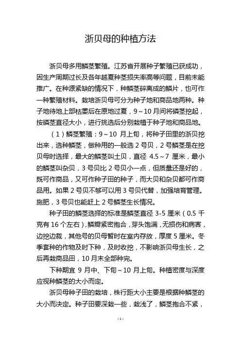 浙贝母的种植方法