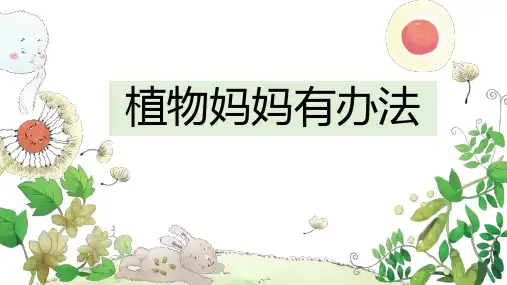 3植物妈妈有办法课件(共41张PPT)