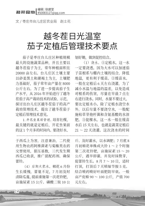 越冬茬日光温室茄子定植后管理技术要点