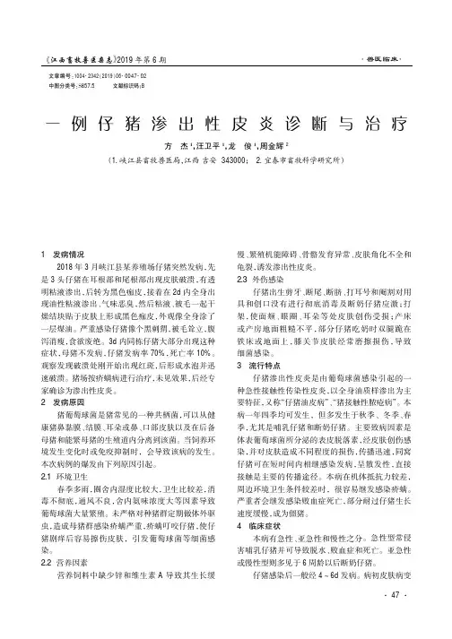 一例仔猪渗出性皮炎诊断与治疗