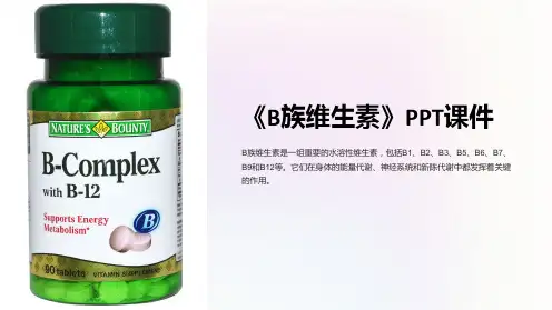 《B族维生素》课件