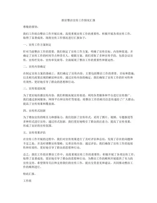 抓好整治宣传工作情况汇报
