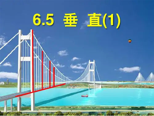 垂直介绍课件