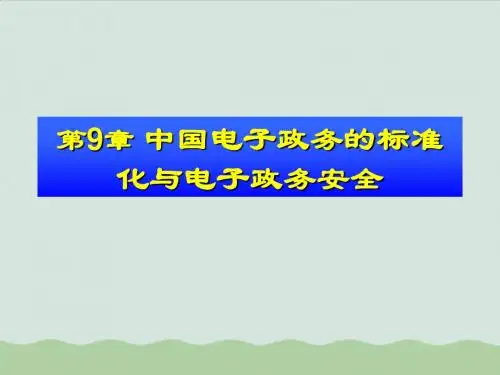 我国电子政务的标准化和安全ppt(共64页)