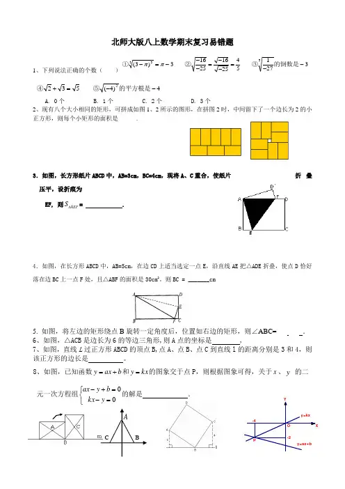 2023—2024学年北师大版数学八年级上册期末复习易错题