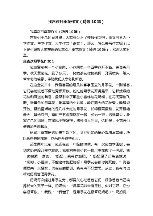 我喜欢月季花作文（精选10篇）