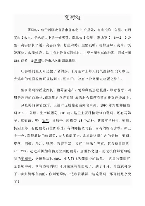葡萄沟