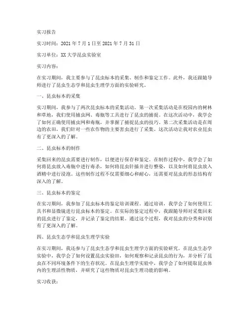 昆虫学实习报告