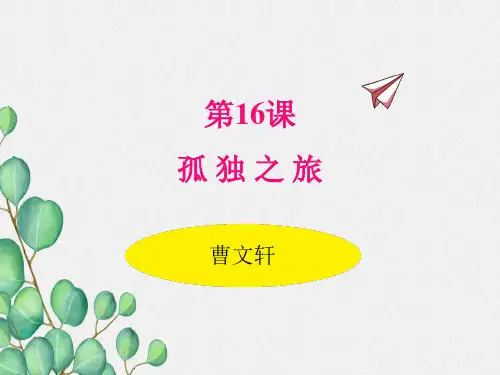 《孤独之旅》原创课件 2021年公开课获奖课件