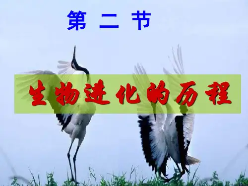 八年级生物下学期第八单元第三章第二节生物进化的历程课件(共29张)