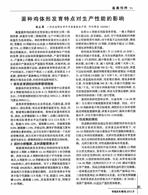 蛋种鸡体形发育特点对生产性能的影响
