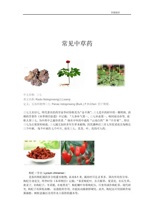 常见中草药简介