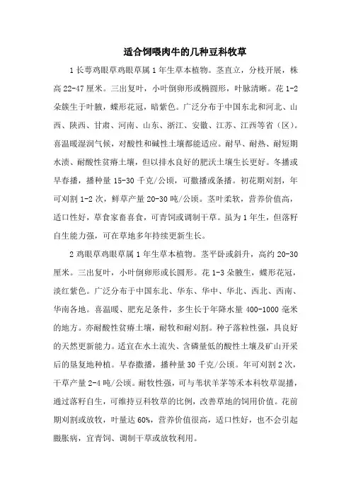 适合饲喂肉牛的几种豆科牧草