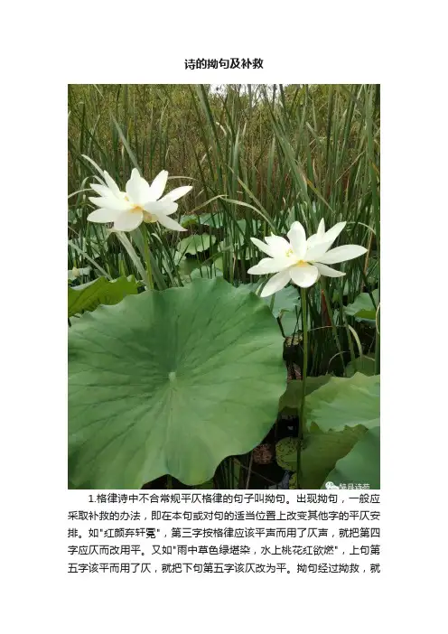 诗的拗句及补救