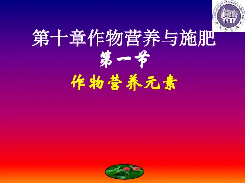 作物营养.ppt
