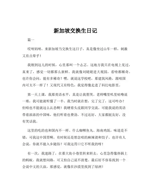 新加坡交换生日记
