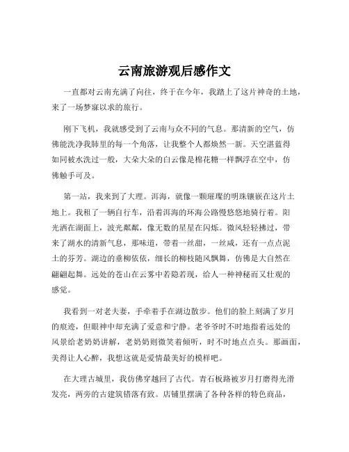 云南旅游观后感作文