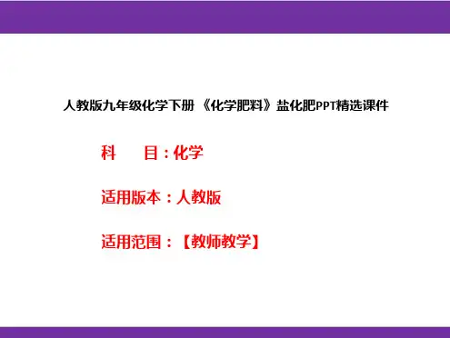 人教版九年级化学下册 《化学肥料》盐化肥PPT精选课件