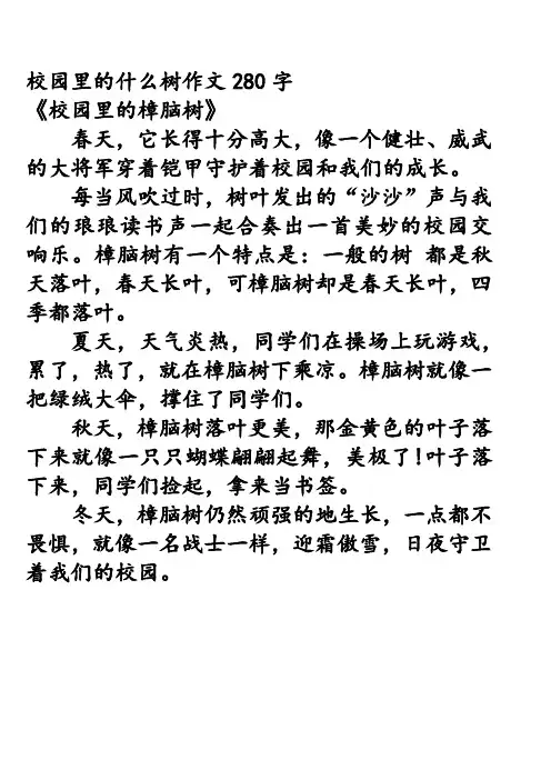 校园里的什么树作文280字