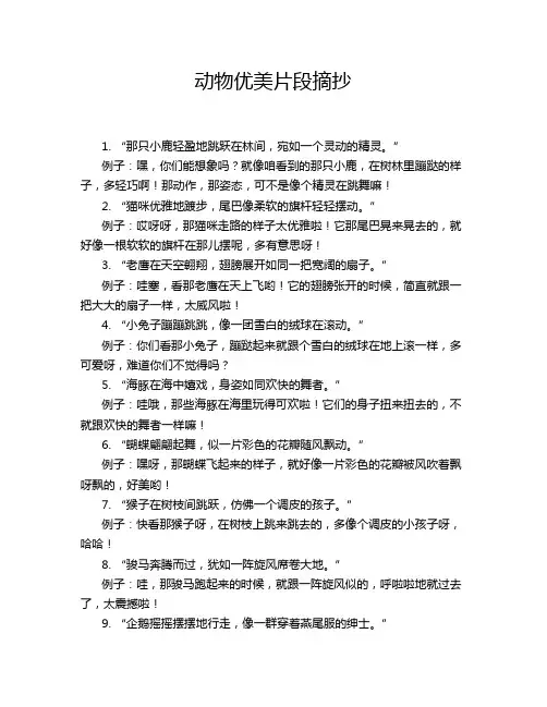 动物优美片段摘抄