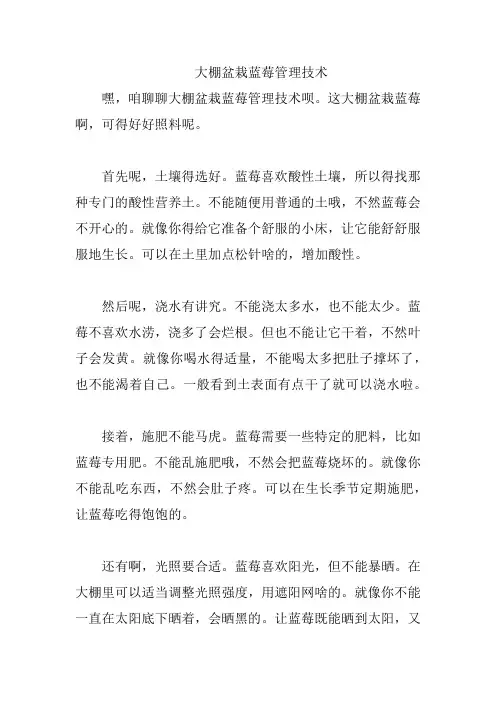 大棚盆栽蓝莓管理技术