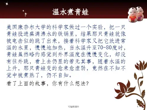 项目风险管理案例分析报告ppt课件